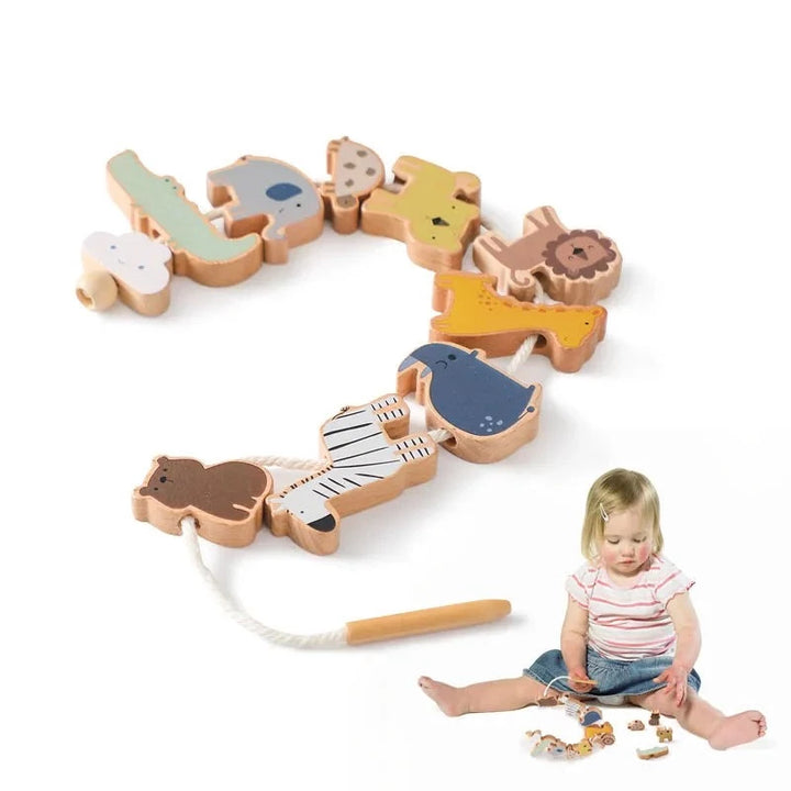 Animal Threading Toys/Montessori